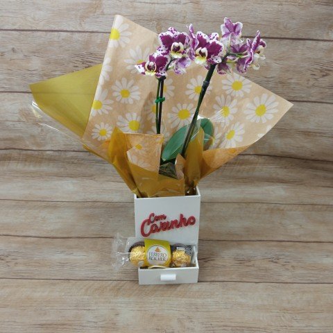 Mini Orquídea 2 Hastes Pote 9 - Cor Variada + Chocolate